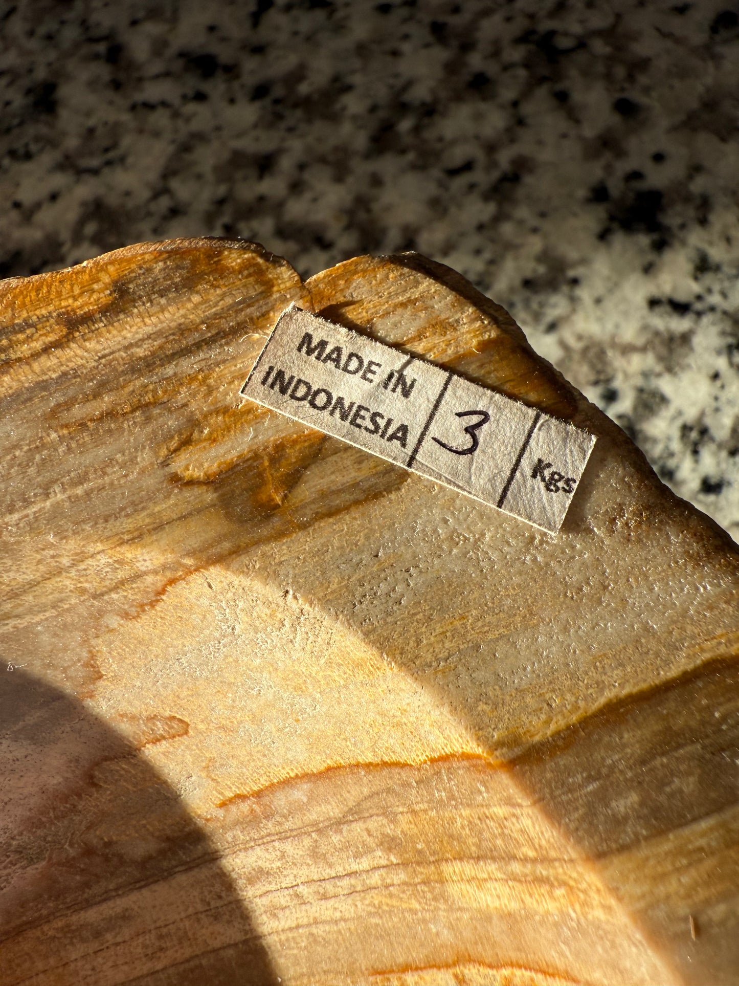 Petrified Wood Bowl C