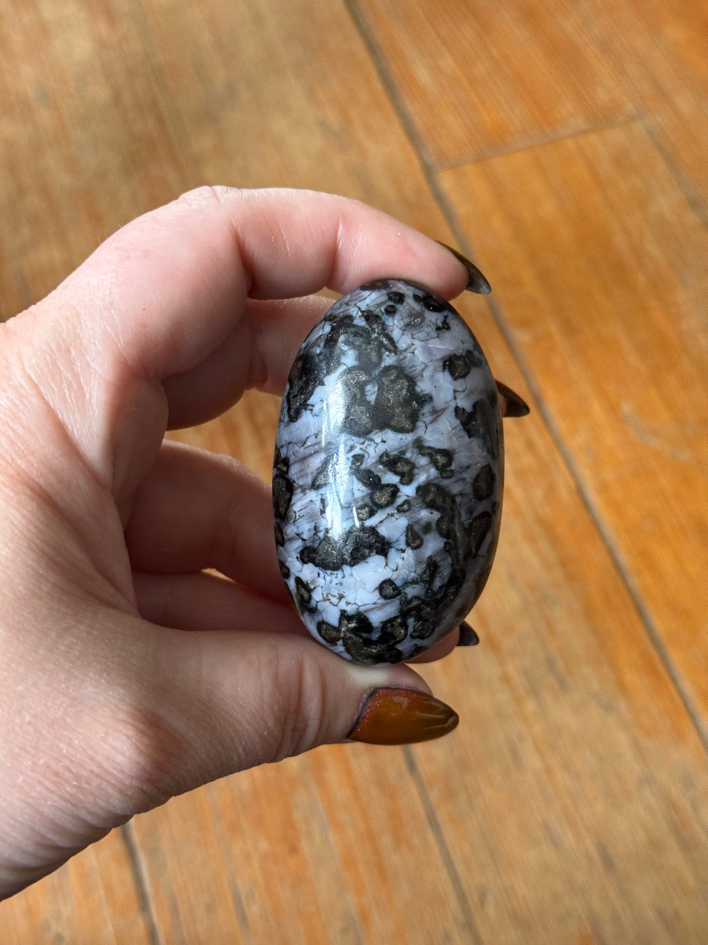 Indigo Gabbro Palm Stones