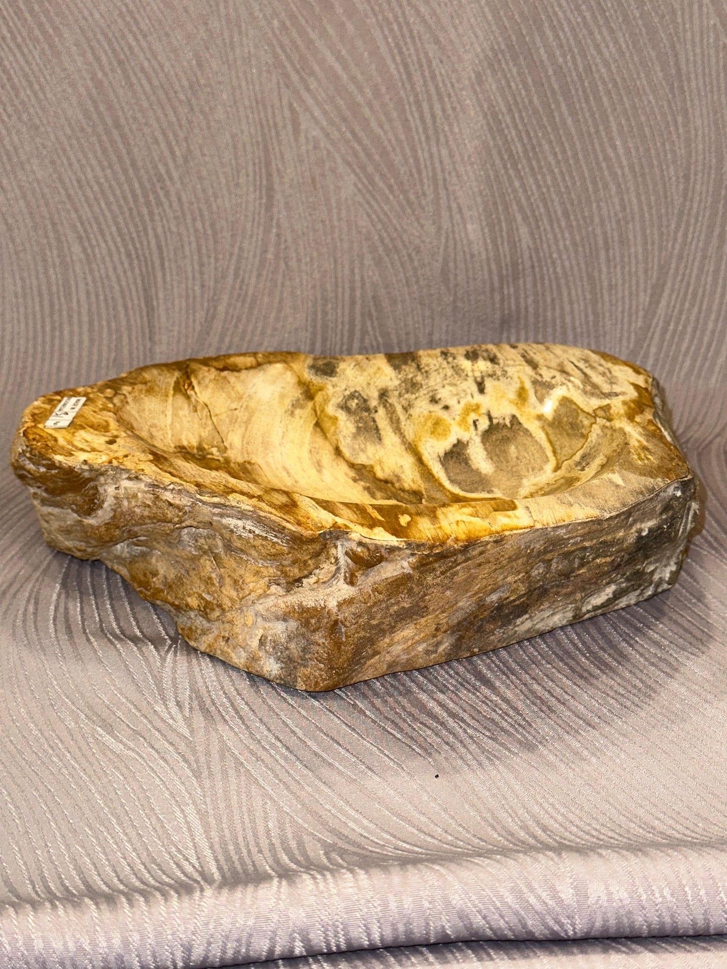 Petrified Wood Bowl B