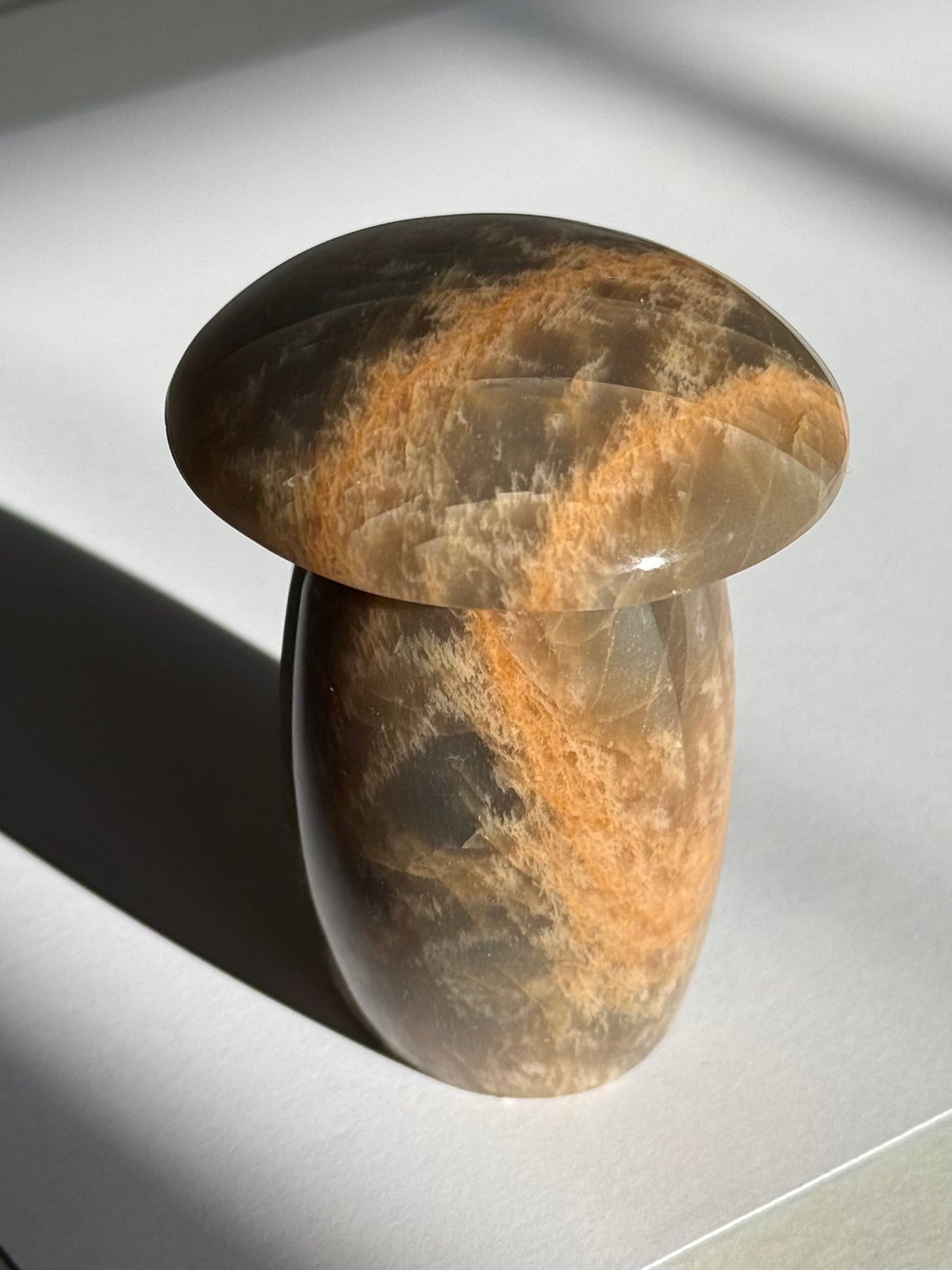 Moonstone Mushrooms