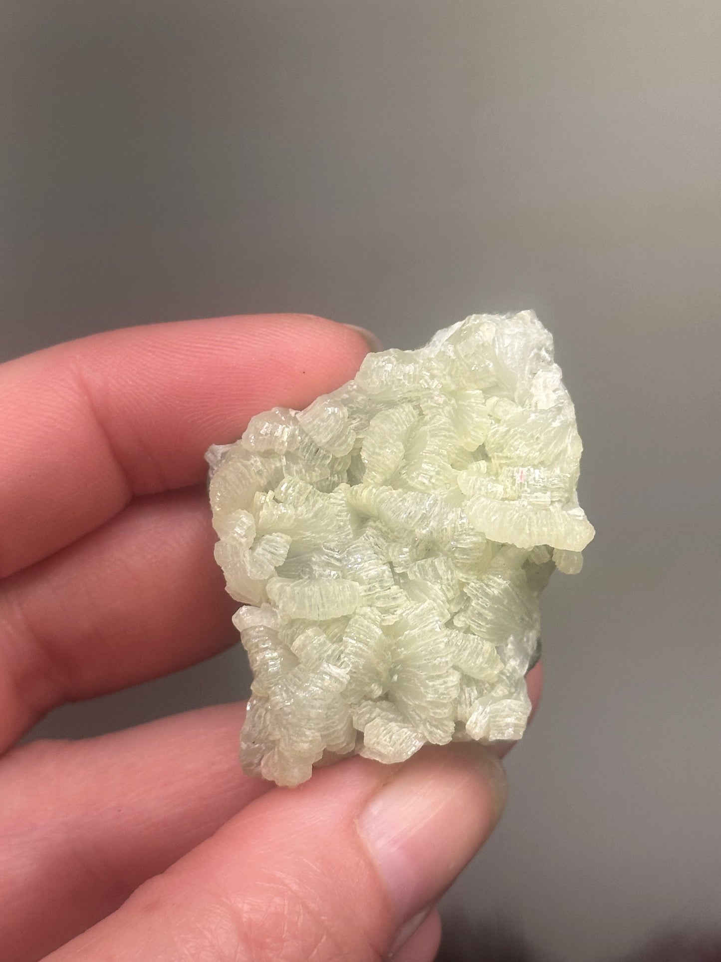 Prehnite Specimens