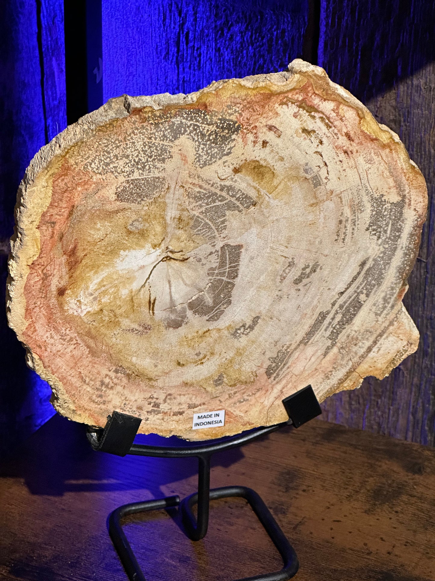 Petrified Wood Slab w/ stand