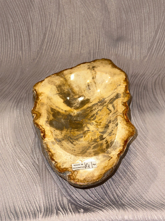 Petrified Wood Bowl A