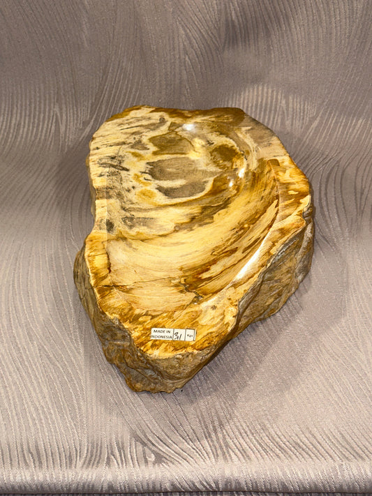 Petrified Wood Bowl B